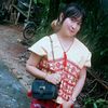 user8152781490005