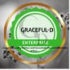 graceful.d_enterprise