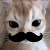 cauancomchuahihii