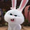 sisi_affiliate
