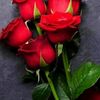 dj.rashel0