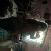 thatssobray_