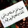 seloo.alshamrany