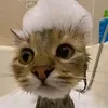 zupaobiad77