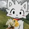 saska822