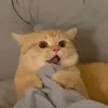 nguoi_dep_xa_lo0