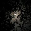 fakeaccount_0090