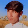 shoukat.ali8082