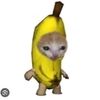 user582702808196