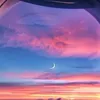 cistcoll