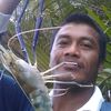 ayah.cik7