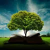 wisdominthebible
