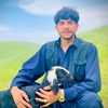 ahmadshoaib1290