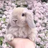 kiinchi_24