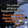seda.365_