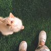 farzana.masood3