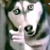 jhcampana777