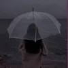 x.asya95