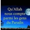 zoubair.ali6