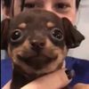 user33y0ewtdrh