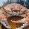 gonefishin126