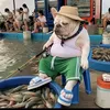 captain_cornflake2024
