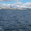 sar.papatya954