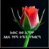 edmey.nqdmey