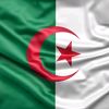 mohamed.dz0958
