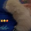 manar0964