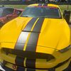 reilly_caughlin45