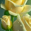 tamnguyenthithanh474