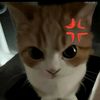 youngrafaram5