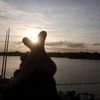 pori0196
