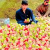 ahemad.khan18