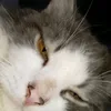 wa_ter_me_ll_on