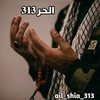 الحر 313