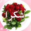 user2317856358155