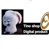 .tinodigital