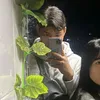 quanghuy6868_