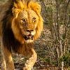 jawad.hassan318