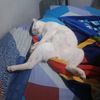 _egifebriansyah_