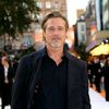 brad.pitt3594