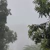 haiajagansm