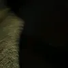 deinbru25