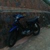 vega_std_4st