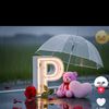 joysdesan6