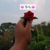 saudiprobasirbow47