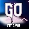 Go Fit Gym