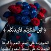 user1491980274061